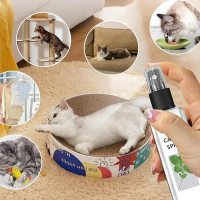 FurryFusion Herbe à Chat Spray 100ml