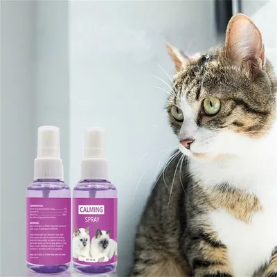 FurryFusion Spray apaisant pour chats