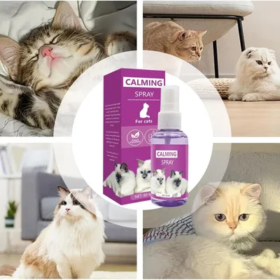 FurryFusion Spray apaisant pour chat 60 ml