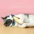 UAMLY Jouets pour chats en forme de poisson balaou UAMLY Jouets pour chats en forme de poisson balaou