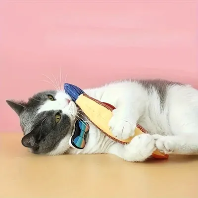 UAMLY Jouets pour chats en forme de poisson balaou UAMLY Jouets pour chats en forme de poisson balaou