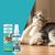 FurryFusion Spray dissuasif pour chat 100ml
