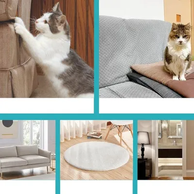 FurryFusion Spray dissuasif pour chat 100ml