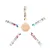 FurryFusion Barres nutritives pour chaton