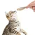 FurryFusion Capelan lyophilisé pour chats 250 g