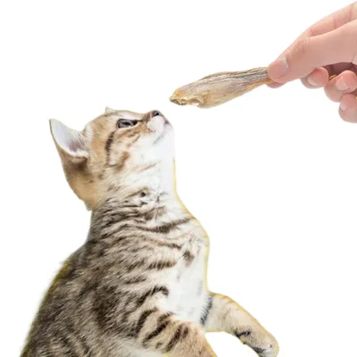 FurryFusion Capelan lyophilisé pour chats 250 g