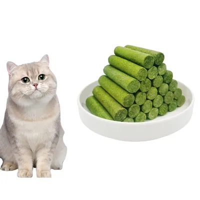 FurryFusion Bâtonnets de collation à l'herbe à chat