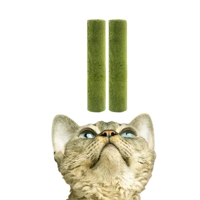 FurryFusion Bâtonnets de collation à l'herbe à chat