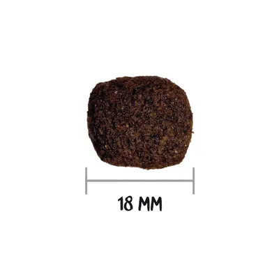 OWNAT - Grain Free Hypo Lamb