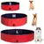 lionto piscine pliable animaux extérieur en PVC antidérapant et robuste