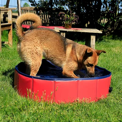 lionto Hundepool mit Ablassventil, 80 cm Durchmesser, Höhe 20 cm, rot/blau