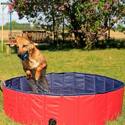 lionto Hundepool mit Ablassventil, 120 cm Durchmesser, Höhe 30 cm, rot/blau