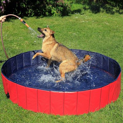 lionto Hundepool mit Ablassventil, 160 cm Durchmesser, Höhe 30 cm, rot/blau