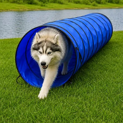 lionto tunnel de jeu pour chien, tunnel agility pliable avec piquets lionto tunnel de jeu pour chien, tunnel agility pliable avec piquets