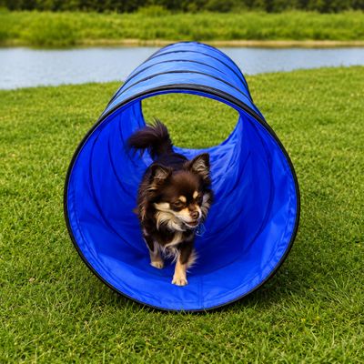 lionto Hunde-Spieltunnel, faltbarer Agility-Tunnel mit Heringen