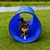 lionto Hunde-Spieltunnel, faltbarer Agility-Tunnel mit Heringen