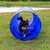 lionto tunnel de jeu pour chien, tunnel agility pliable avec piquets