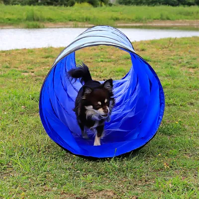 lionto tunnel de jeu pour chien, tunnel agility pliable avec piquets