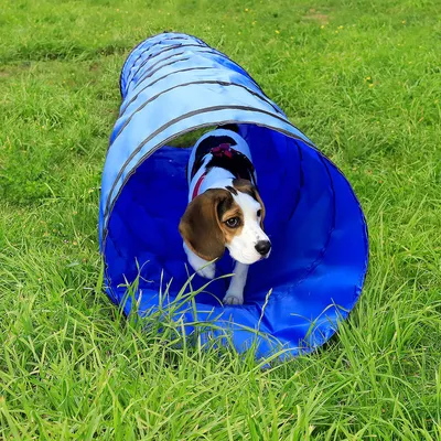 lionto tunnel de jeu pour chien, tunnel agility pliable avec piquets