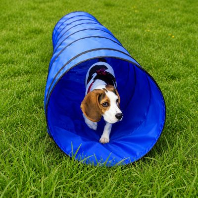 lionto Hunde-Spieltunnel, faltbarer Agility-Tunnel mit Heringen