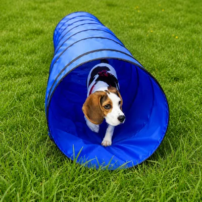 lionto tunnel de jeu pour chien, tunnel agility pliable avec piquets lionto tunnel de jeu pour chien, tunnel agility pliable avec piquets