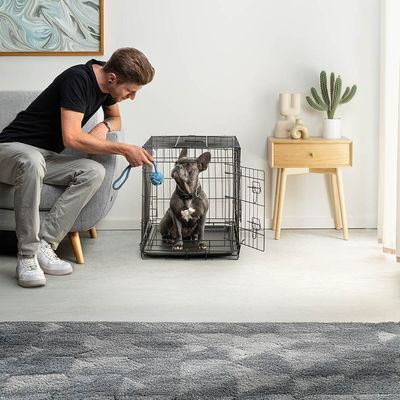 lionto cage de transport pour chien pliable avec bac amovible sécurisé