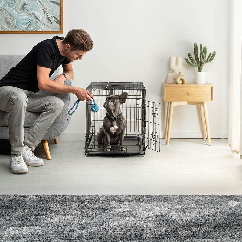 lionto cage de transport pour chien pliable avec bac amovible sécurisé