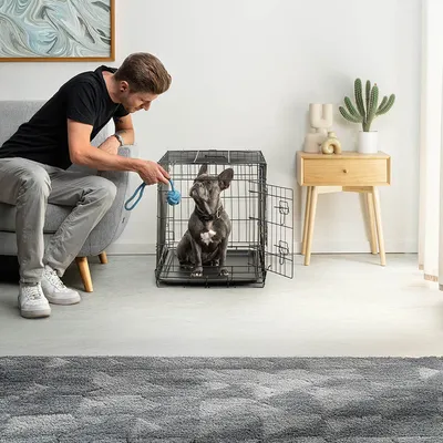 lionto cage de transport pour chien pliable avec bac amovible sécurisé