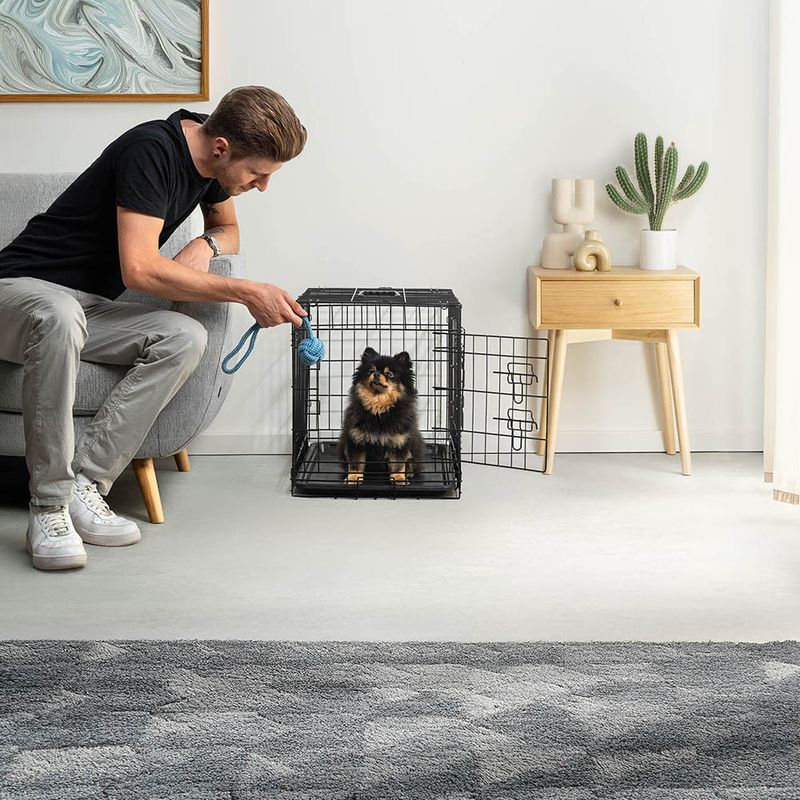 lionto cage de transport pour chien pliable avec bac amovible sécurisé