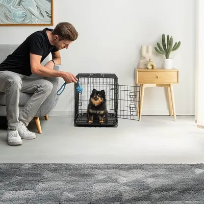 lionto cage de transport pour chien pliable avec bac amovible sécurisé