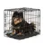 lionto cage de transport pour chien pliable avec bac amovible sécurisé