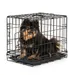 lionto faltbare Hundetransportbox aus Metall mit herausnehmbarer Bodenwanne