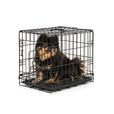 lionto faltbare Hundetransportbox aus Metall mit herausnehmbarer Bodenwanne