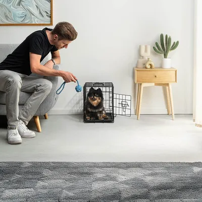 lionto faltbare Hundetransportbox aus Metall mit herausnehmbarer Bodenwanne