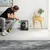 lionto cage de transport pour chien pliable avec bac amovible sécurisé