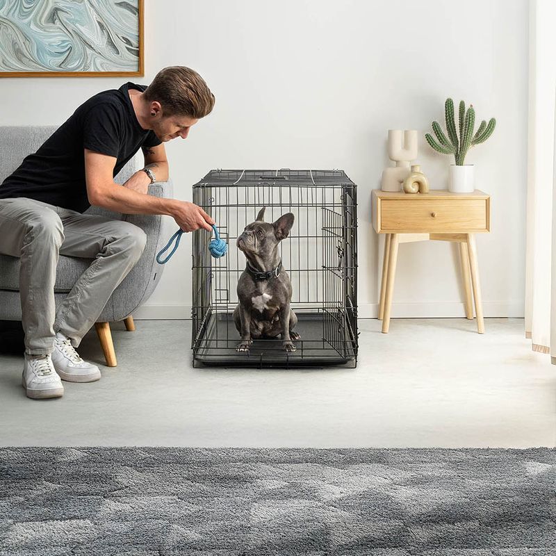 lionto cage de transport pour chien pliable avec bac amovible sécurisé