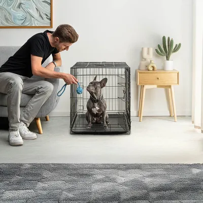 lionto cage de transport pour chien pliable avec bac amovible sécurisé