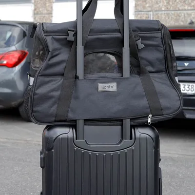 lionto sac de transport pliable pour chien avec coussin et filets aérés