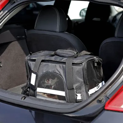 lionto sac de transport pliable pour chien avec coussin et filets aérés