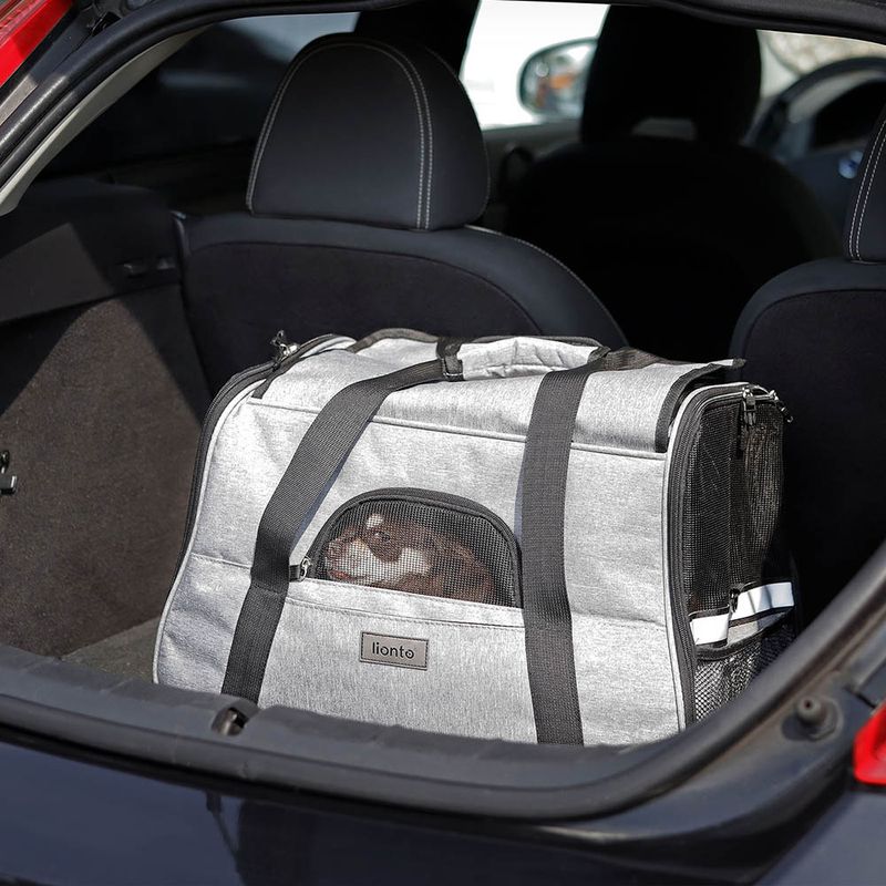 lionto sac de transport pliable pour chien avec coussin et filets aérés