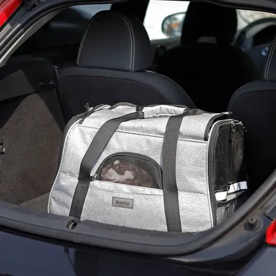 lionto sac de transport pliable pour chien avec coussin et filets aérés