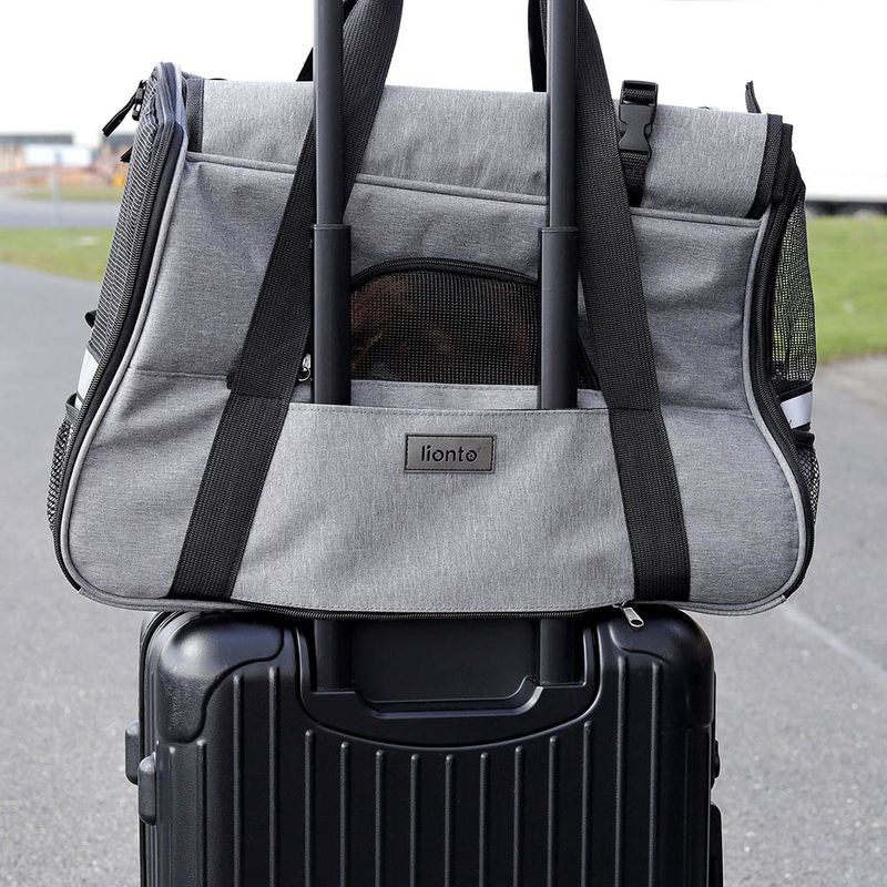 lionto sac de transport pliable pour chien avec coussin et filets aérés