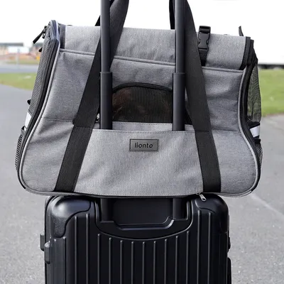 lionto sac de transport pliable pour chien avec coussin et filets aérés