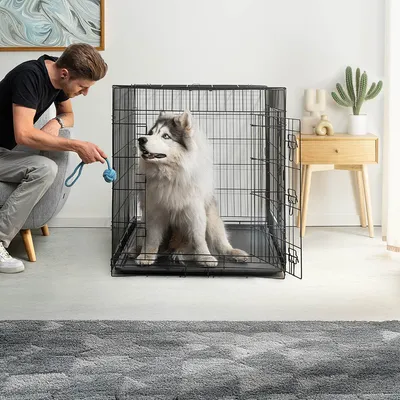lionto cage de transport pour chien pliable avec bac amovible sécurisé