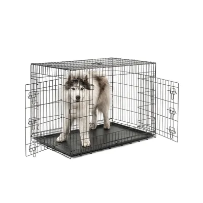 lionto cage de transport pour chien pliable avec bac amovible sécurisé