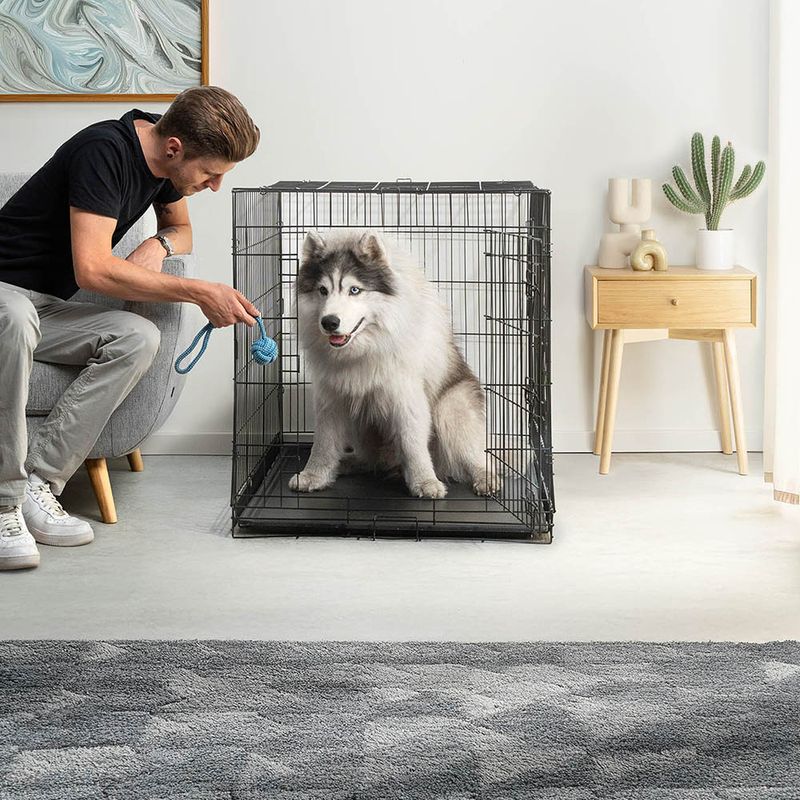 lionto cage de transport pour chien pliable avec bac amovible sécurisé