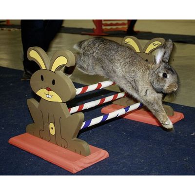 Kerbl Obstacle/jouet d'agilité pour rongeurs 62x33x34 cm