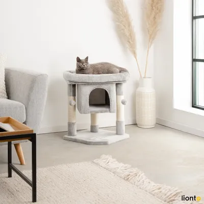 lionto arbre à chat avec niche, 2 balles et corde sisal robuste