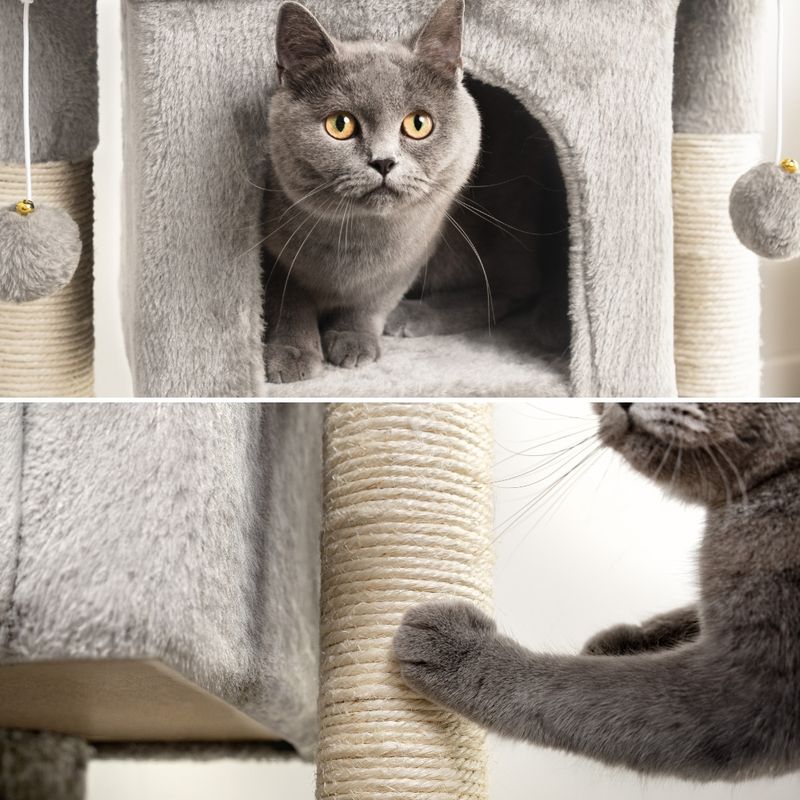 lionto arbre à chat avec niche, 2 balles et corde sisal robuste