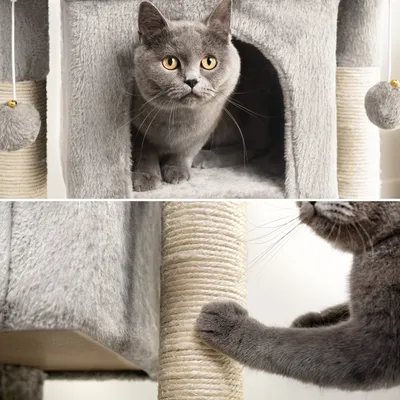 lionto arbre à chat avec niche, 2 balles et corde sisal robuste